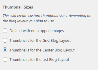 screenshot showing Amble thumbnail settings for posts