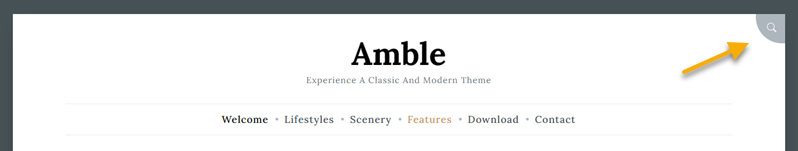 screenshot showing the search modal button for Amble